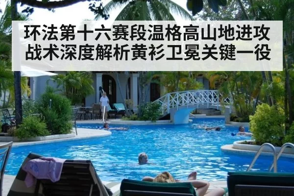环法第十六赛段温格高山地进攻战术深度解析黄衫卫冕关键一役