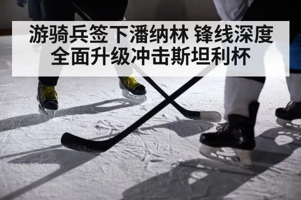 游骑兵签下潘纳林 锋线深度全面升级冲击斯坦利杯