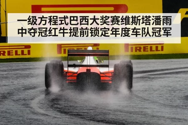 Formula 1 rain race